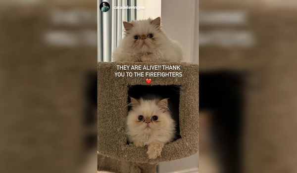 1603 BD RUMAH SUPERMODEL TERBAKAR