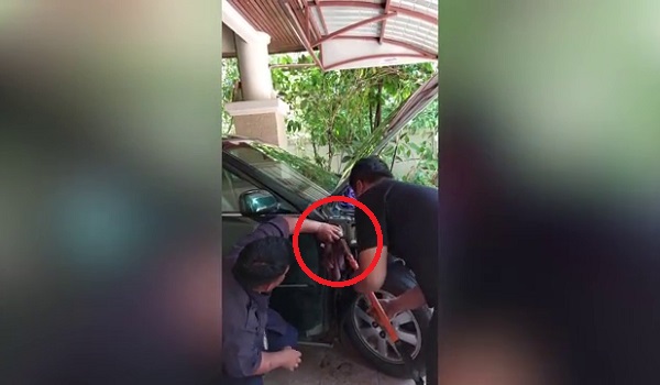 1603 BD THAI KUCING TERSEPIT 2